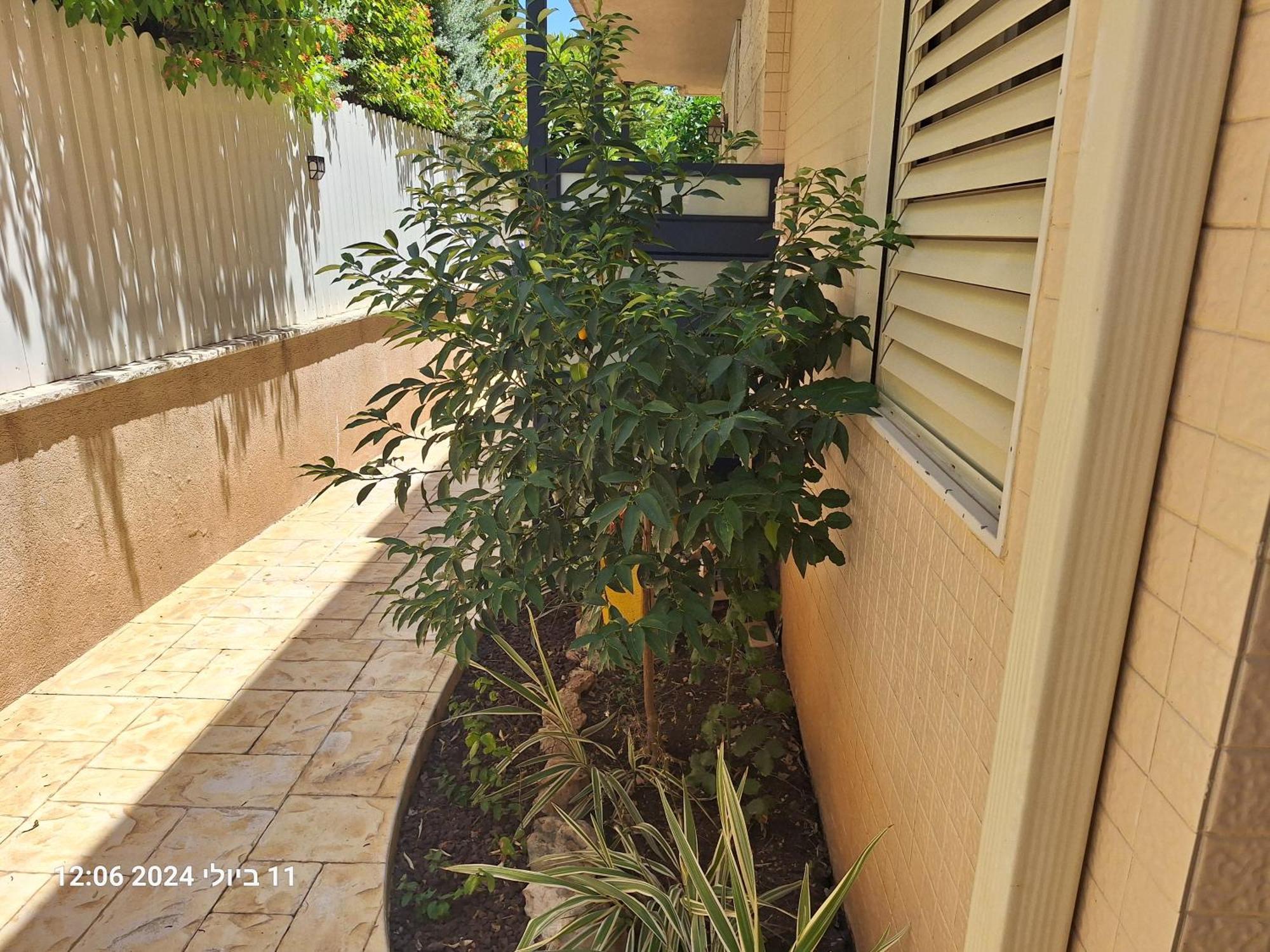 הבית הירוק Hotel Karmiel Kültér fotó